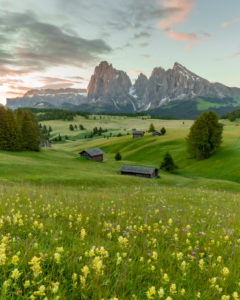 Seiser Alm, Südtirol, Italien Seiser Alm, Südtirol, Italien